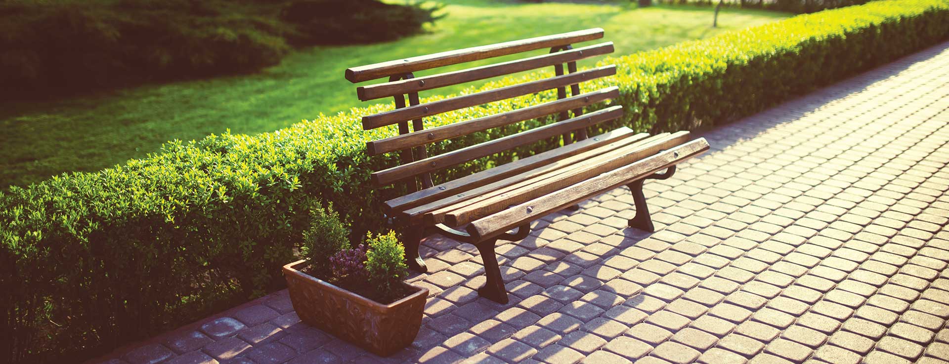 כל המידע על תמא 38 - ת"א