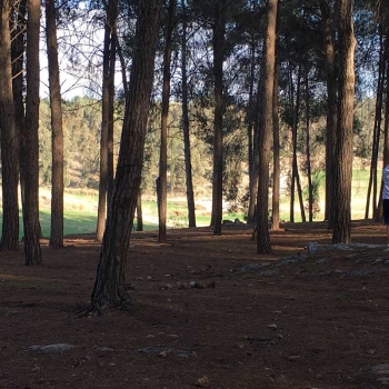 25440272 2056926054536558 5466747094796167248 o